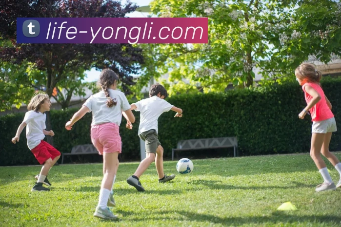 永利皇宫官网APP 封面图