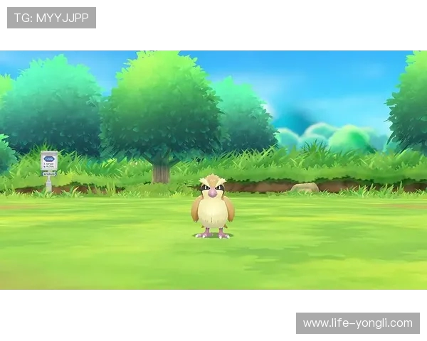 Steam平台联机口袋妖怪类游戏推荐与玩法技巧分享